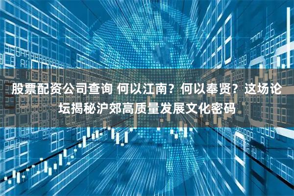 股票配资公司查询 何以江南？何以奉贤？这场论坛揭秘沪郊高质量发展文化密码