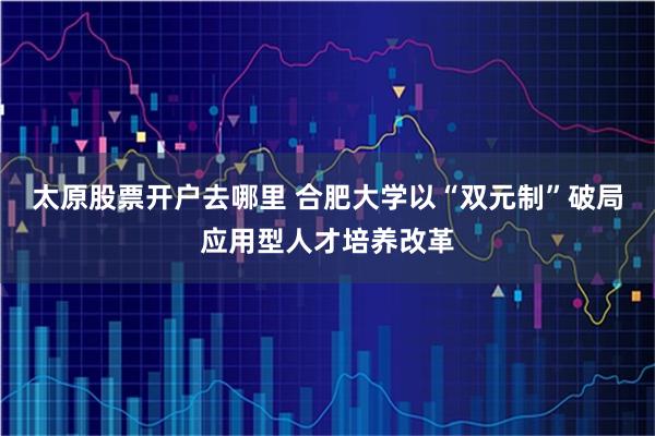 太原股票开户去哪里 合肥大学以“双元制”破局应用型人才培养改革