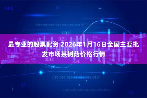 最专业的股票配资 2026年1月16日全国主要批发市场茶树菇价格行情