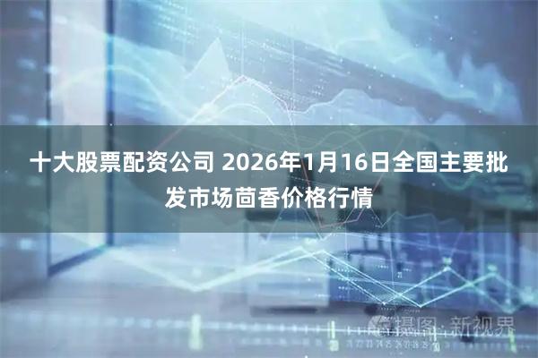 十大股票配资公司 2026年1月16日全国主要批发市场茴香价格行情