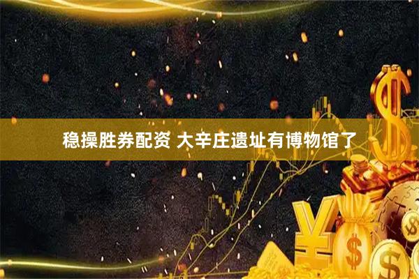 稳操胜券配资 大辛庄遗址有博物馆了