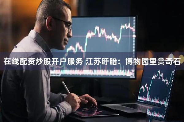在线配资炒股开户服务 江苏盱眙：博物园里赏奇石